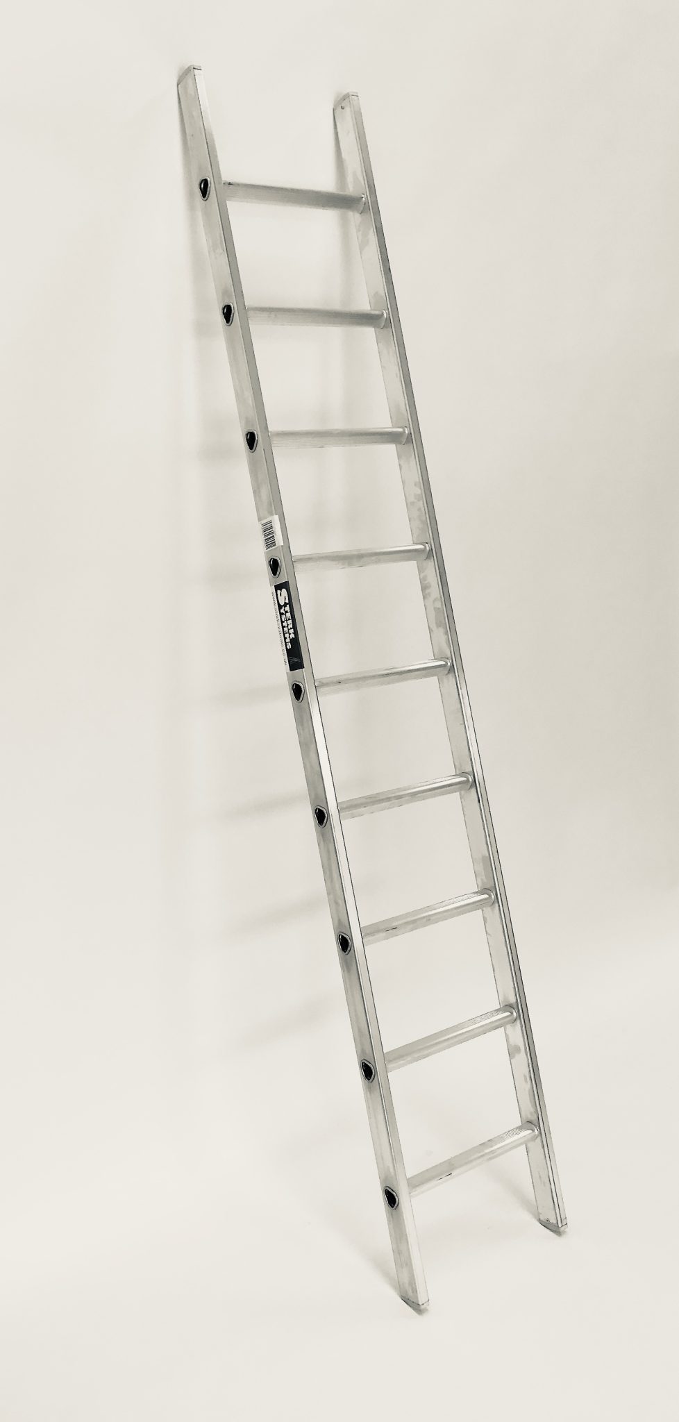 Single Section Ladder