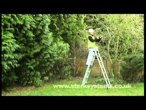 WT Reform Ladders - Centaure 739223307